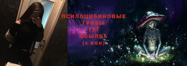 mdpv Горно-Алтайск