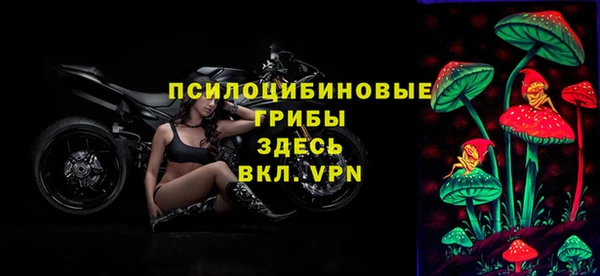 мет Горняк