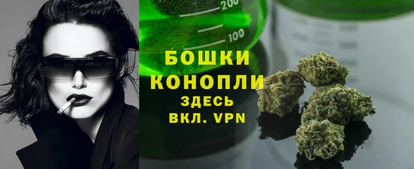 mdpv Горно-Алтайск