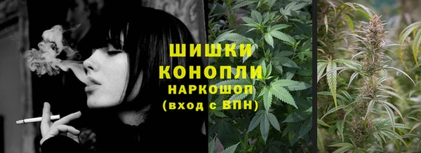 mdpv Горно-Алтайск