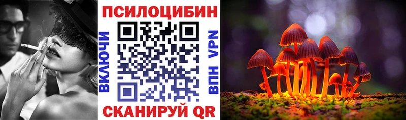Галлюциногенные грибы мицелий  Купить где  Кстово 